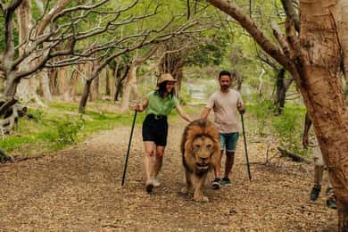Mauritius: Casela naturpark och strandtur i Flic en Flac