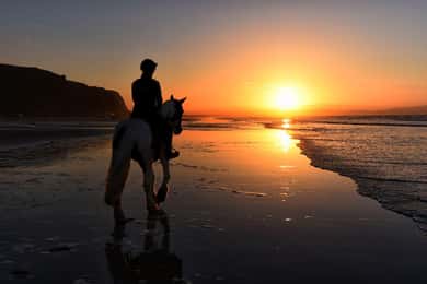Tamarindo: A cavallo per la spiaggia di Tamarindo - Guanacaste, CR
