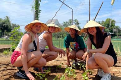 Depuis Hoi An : Cours de cuisine à la ferme biologique