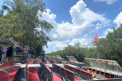 Rundtur i Everglades på franska från Orlando med omnejd