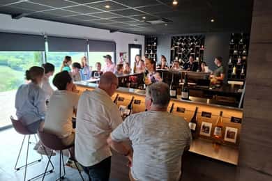 From Lyon: Beaujolais Wine Route Half-Day Tour