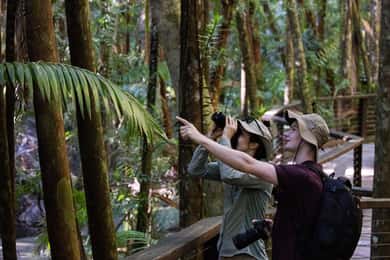 K'gari Wilderness Trail - 2 Days Walk