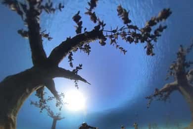 Ayia Napa : Musée sous-marin de Musan : plongée sous-marine avec transfert
