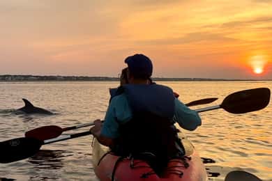 Virginia Beach: Dolphin Kayak Tour: This is a Workout!