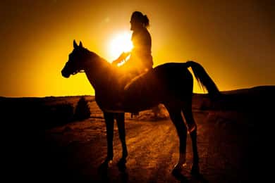 Punta Cana: Hesteridning ved solnedgang i Macao strand og skov