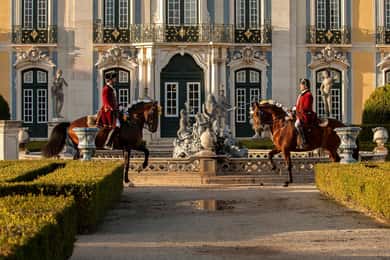 Lissabon: Portugese School voor Paardensport Ochtendtraining