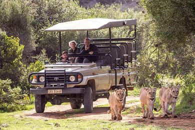 2 Day Small Group Cape Town: Garden Route Big 5 Safari Tour