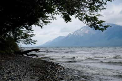 Ushuaia: tour in barca del Canale di Beagle e dell'Isola dei Pinguini
