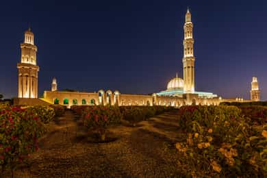 Muscat: tour guidato serale della città in Van