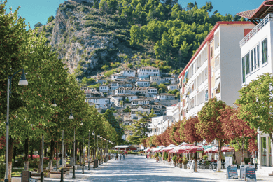 Da Tirana: Tour giornaliero a Berat | UNESCO & Belsh (Cantina)