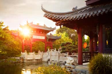 Mannheim, guided park tour: Luisenpark