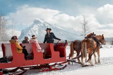 Banff: Family Friendly Horse-Drawn Sleigh Ride