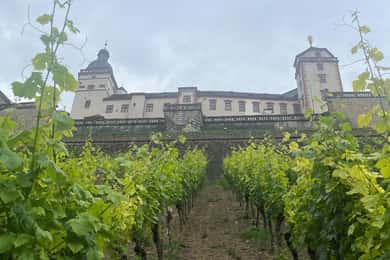 Between vineyards and a royal residence – enjoy Würzburg's wines with a view