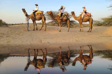 Desert Camel Safari Day Tour In Jodhpur