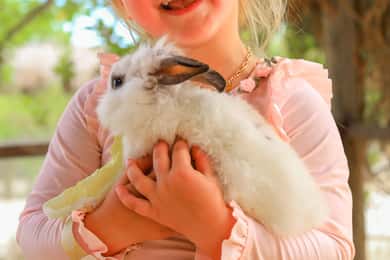Los Cabos: Animal Encounter & Aqua Park Adventure