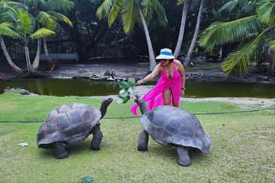 "Curieuse and St-Pierre Island Adventure: with Creole, BBQ