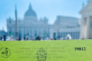 Vatican City: Papal Audience with Guide