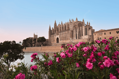 Mallorca: Instafamous Tour of Palma and North coast