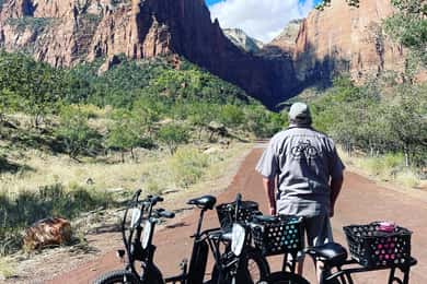 Springdale: Guided eBike Tour in Zion National Park