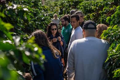 Andradas: An immersive experience through the world of coffee, from farm to cup.