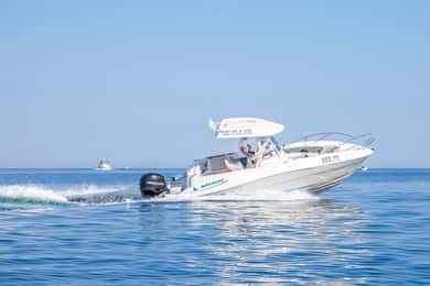 VRSAR: Aftentur med båd til Rovinj med delfinsafari