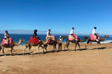 From Seville: 2, 3, or 4-Day Morocco Trip with Ferry & Guide
