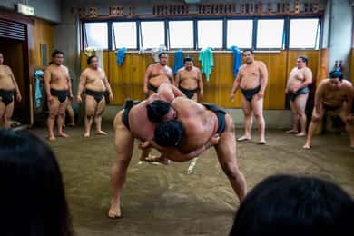 Tur de vizionare a antrenamentelor de dimineață de sumo
