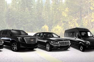 Doha Airport & Hotel Transfers with City Orientation