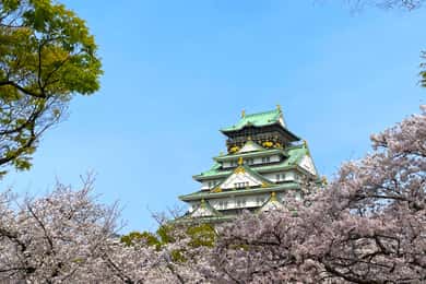 Visite guidée de 3 heures du château et du musée historique d'Osaka