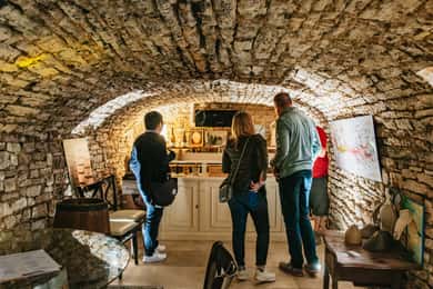 Desde Beaune: Excursión de un día a Borgoña con 14 catas de vino