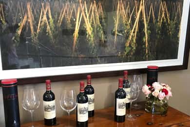 Ciudad del Cabo: tour privado de vinos y arte con degustaciones