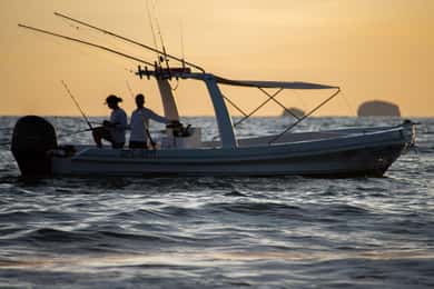 Flamingo Bay: Beach-Hopping Snorkel & Sunset Tours