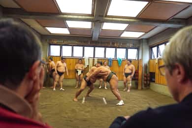 Tur de antrenament de dimineață Sumo în Ryogoku și ședință foto