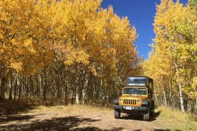 Colorado Jeep Tours - Gold Belt Tour