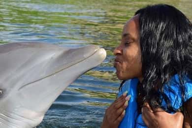 Montego Bay: Aventura de nadar com os golfinhos em Lucea