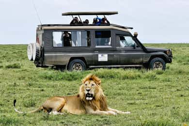 Zanzibar: 2-Day Private Magical Ngorongoro Crater Safari