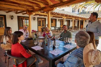 Palmilla: Tour de Vinhos e Sabores