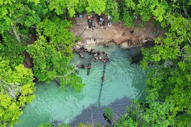 Punta Cana: Samana Safari Panoramic City Tour + Playa Rincon
