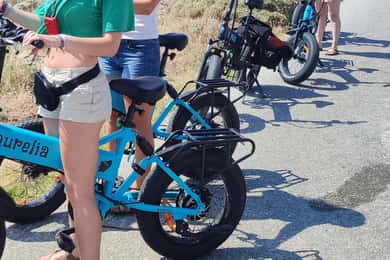 Naxos: Private E-Bike Tour with Farm Lunch