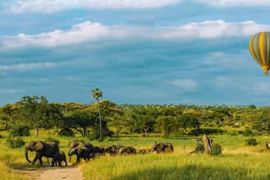 Tarangire: Ballon-Safari und Buschfrühstück
