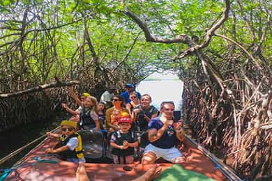 Mirissa/Weligama/Galle: Galle & Bentota Coastal Day Tour
