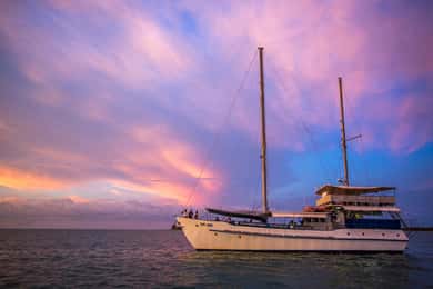 Darwin: Signature four course Sunset Dinner Cruise