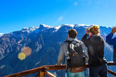 Från Arequipa: Colca Canyon guidad dagsutflykt med måltider