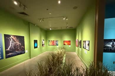 Santa Monica Art Museum: Generel adgangsbillet