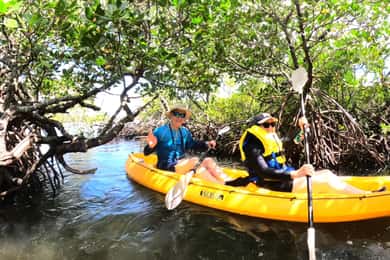 Noosa Heads: Hidden Waterways Wildlife Kayak (Self-Guided)