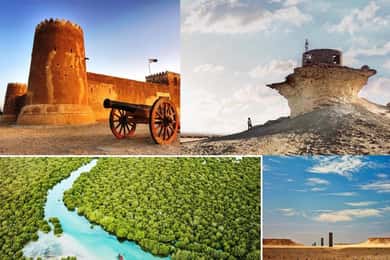 Doha: Full-Day North & West Qatar Tour with Al Zubara Fort