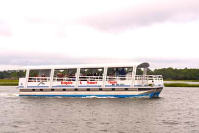 Hilton Head Island: Sunset Dolphin Watching Cruise