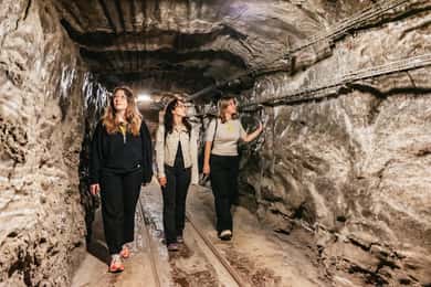 From Krakow: Wieliczka Salt Mine Guided Tour