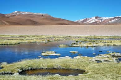 Ruta de los Salares - Guided Tour : San Pedro de Atacama - Chile