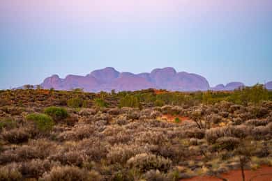 Kata Tjuta: Valley of the Winds Circuit Hike
